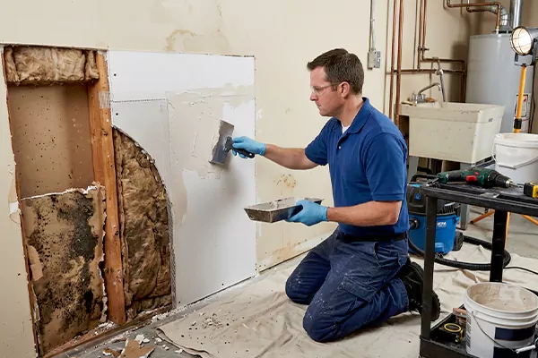 Mold and Drywall Repair Haltom City