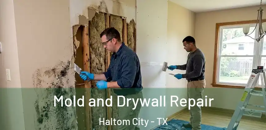 Mold and Drywall Repair Haltom City - TX