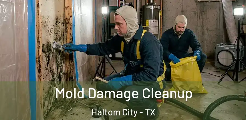 Mold Damage Cleanup Haltom City - TX