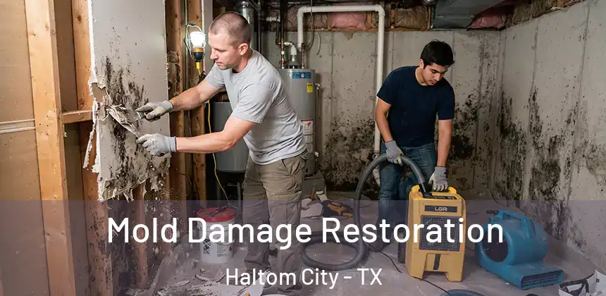 Mold Damage Restoration Haltom City - TX