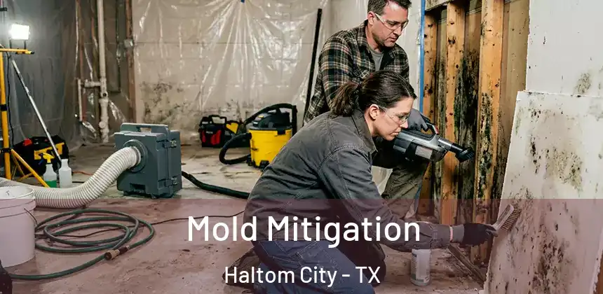 Mold Mitigation Haltom City - TX