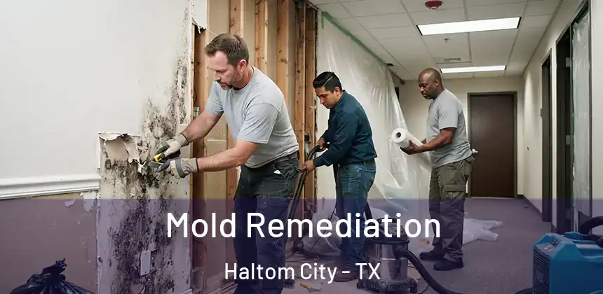  Mold Remediation Haltom City - TX