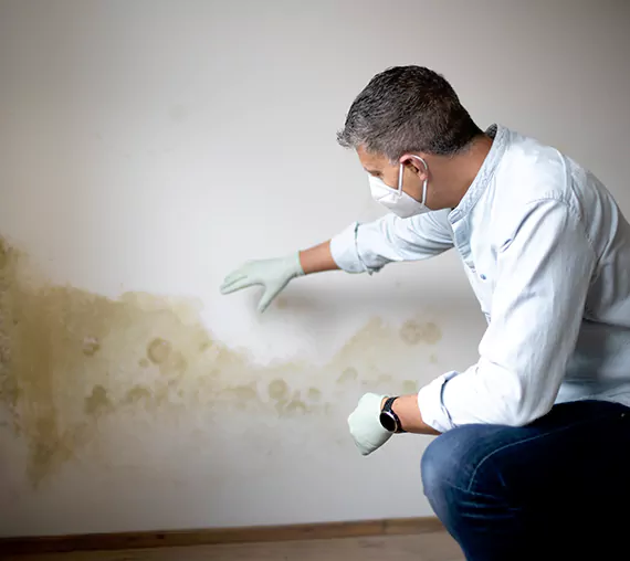 Mold Removal Service in Haltom City, TX