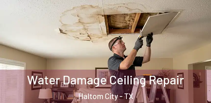 Water Damage Ceiling Repair Haltom City - TX