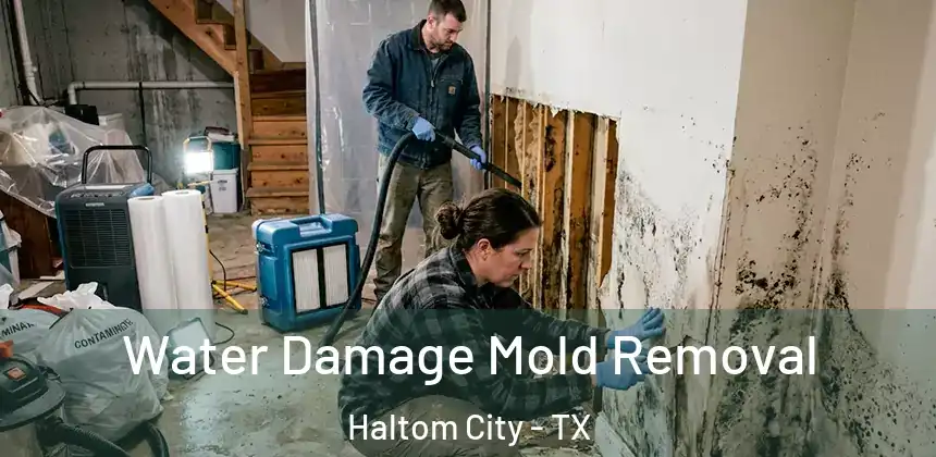 Water Damage Mold Removal Haltom City - TX